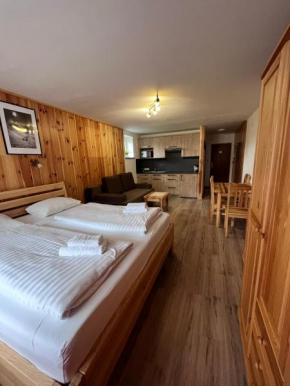 Kaprun Mountain Studio - Skibus stop 100m